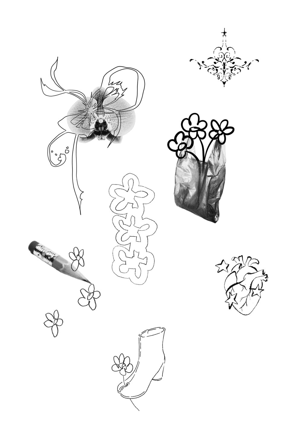 orchid flash sheet