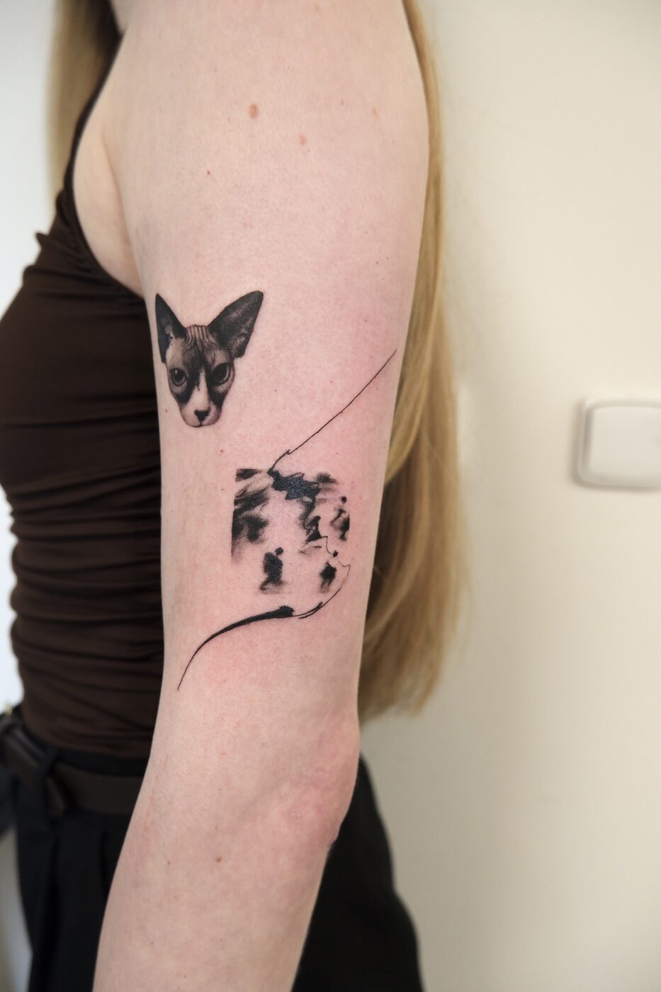 sphynx cat with abstract tattoo